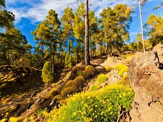 Безумно Красиво Uplifting Trance 2011 Borman Njoy presents