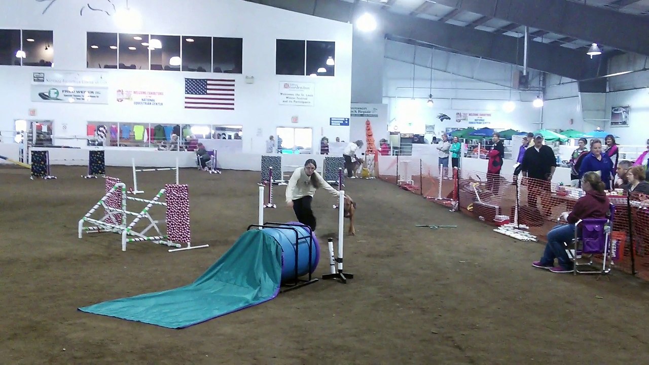 VID_20141115_084600.mp4
