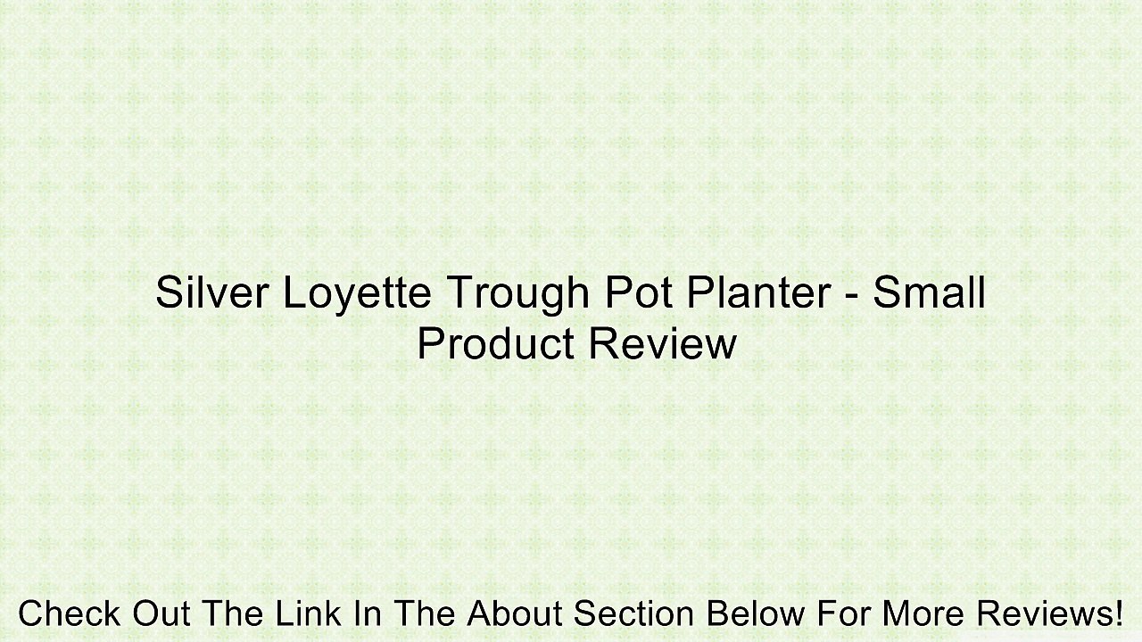 Silver Loyette Trough Pot Planter - Small Review