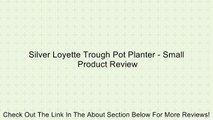 Silver Loyette Trough Pot Planter - Small Review