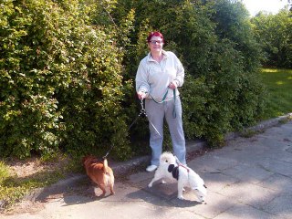 Cały ten zwierzyniec