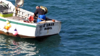 Côtes-d'Armor - 2ème partie