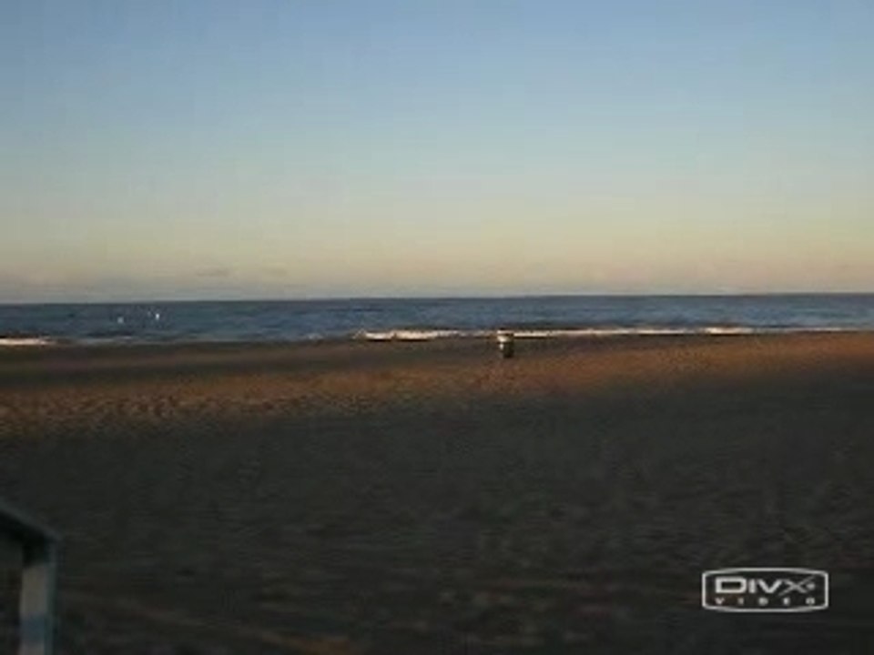 Baywatch