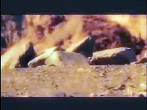 Bispo Guaracy - Duelo Santos Monte Carmelo 14 Maio 004 (IURD TV)(240p_H.263-MP3)