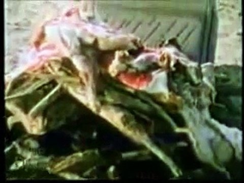 Bispo Guaracy Duelo Santos Monte Carmelo 14 Maio 001 (IURD TV)(240p_H.263-MP3)