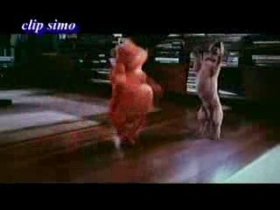 Chien et chat dansant chaabi