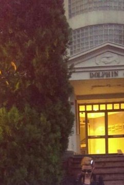 Deniz Seki İstanbul'da Yakalandı