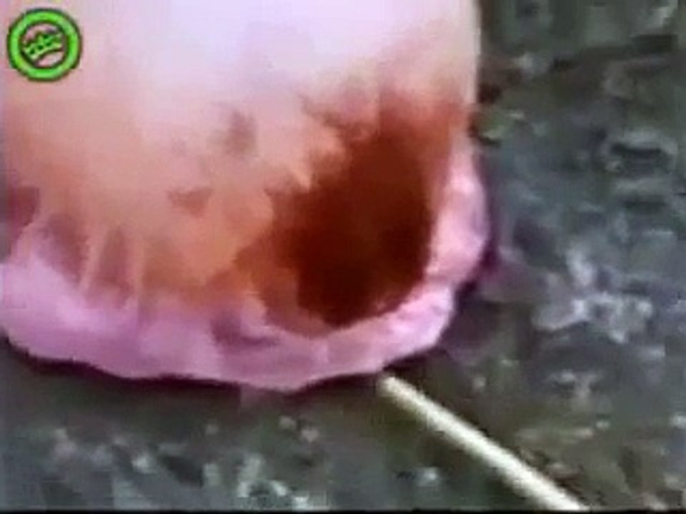 Deniz Anası'nın üzerine kola dökülürse...