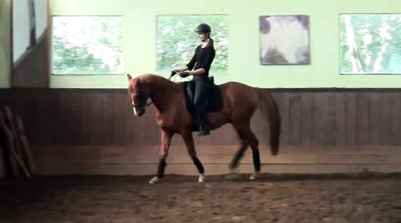 Stage de dressage avec Pierre Beaupère - 27 septembre 2014 - Jour 1 partie 2