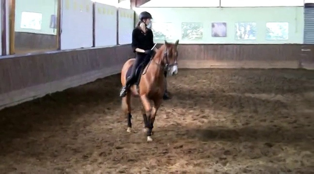 Stage de dressage avec Pierre Beaupère - 27 septembre 2014 - Jour 1 partie 3