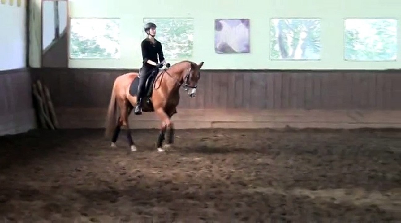 Stage de dressage avec Pierre Beaupère - 27 septembre 2014 - Jour 1 partie 4