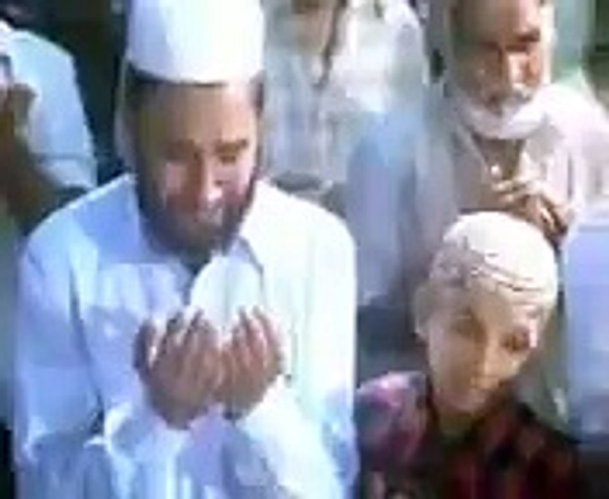 Allama saqib Raza Mustafai