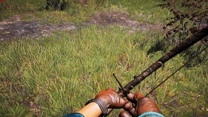 Far Cry 4 GTS 450 1080p gameplay