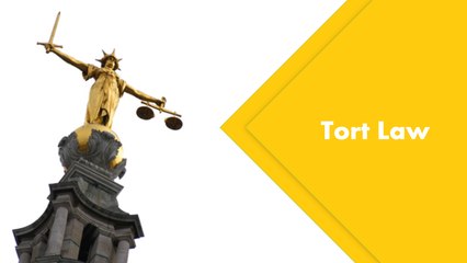 Tort Law Basics: An Introductory Course 📚