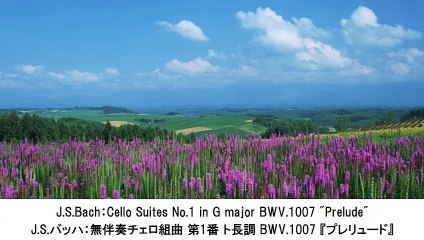 ベストクラシックミュージック-室内楽曲 1・Best Classical Music-Chamber music 1