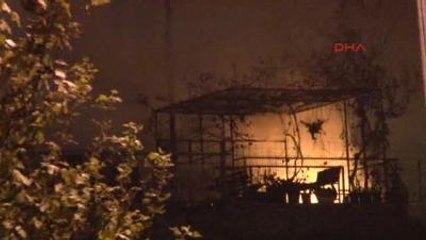 İstanbul'da Alevli Gece