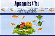 Aquaponics 4 Idiots - The Idiot Way of Building an Aquaponic System