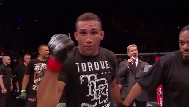 UFC 180: Fabricio Werdum Highlights