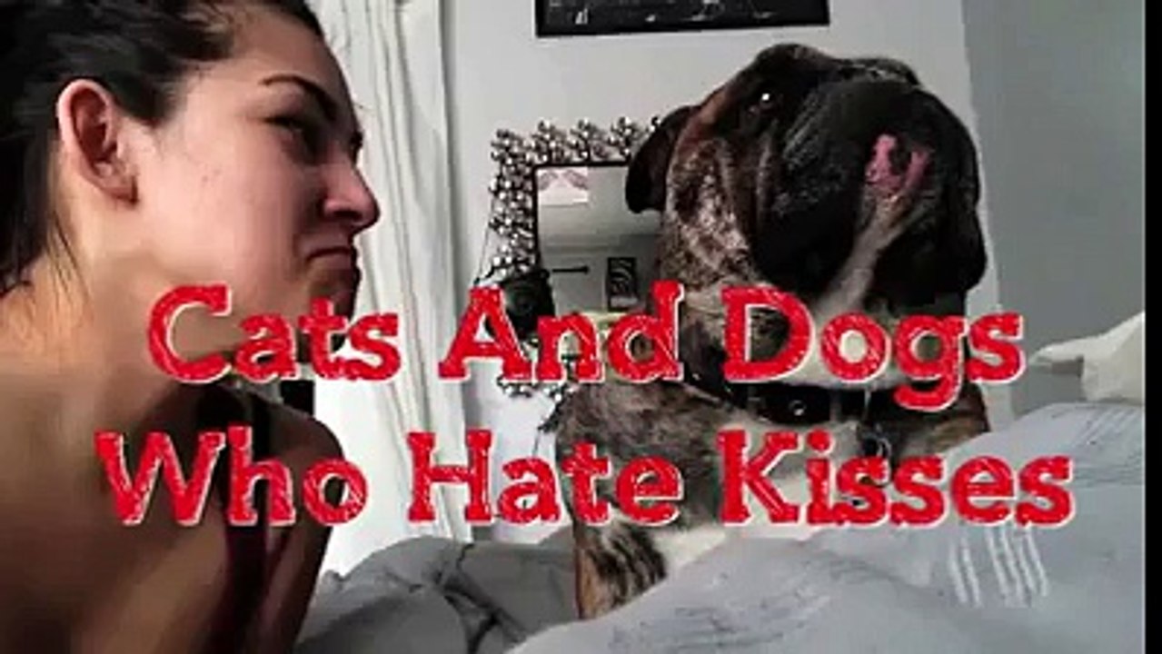 Worlds Best Pranks_13