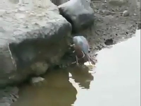 WooW!! Amazing Idea What an Idea - Super Hit Videos