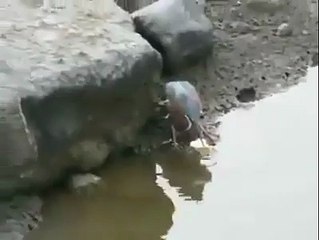 WooW!! Amazing Idea What an Idea - Super Hit Videos