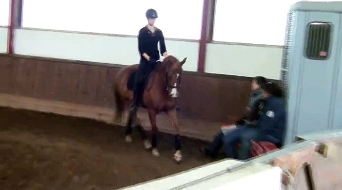 Stage de dressage avec Pierre Beaupère - 27 septembre 2014 - Jour 1 partie 7
