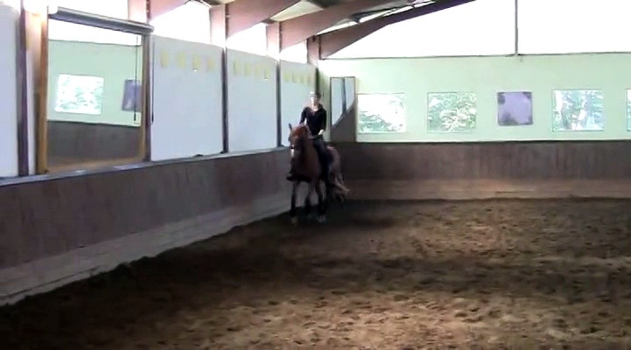 Stage de dressage avec Pierre Beaupère - 27 septembre 2014 - Jour 1 partie 8