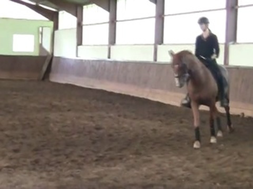Stage de dressage avec Pierre Beaupère - 27 septembre 2014 - Jour 1 partie 11