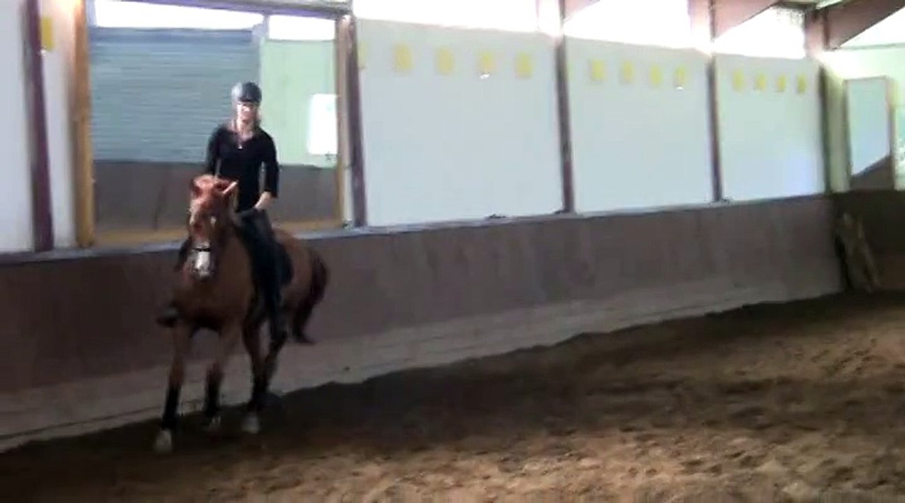 Stage de dressage avec Pierre Beaupère - 27 septembre 2014 - Jour 1 partie 9