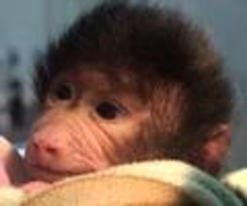 Annesinin terk ettiği babuna, klinik çalışanları bakıyor