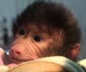 Annesinin terk ettiği babuna, klinik çalışanları bakıyor