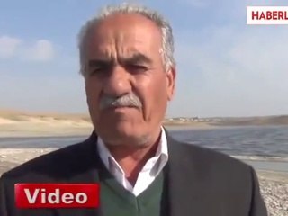 Kahta'da Ölen Binlerce Balık Kıyıya Vurdu