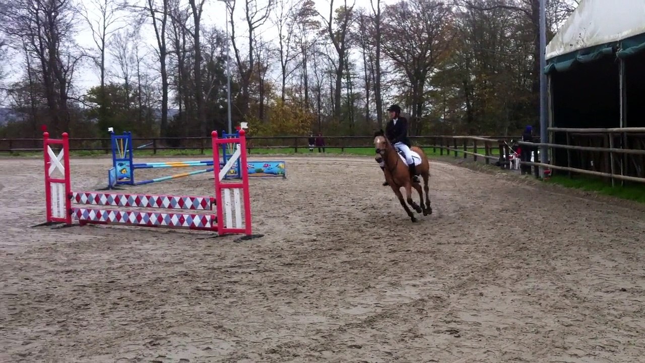 CSO Les Poneys d'Or du 09/11/2014