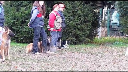 Amical Verviers 15 nov 2014_Malouk en brevet