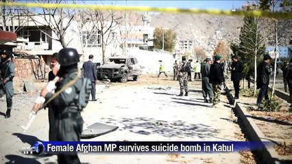 Female Afghan MP survives suicide attack, 3 dead
