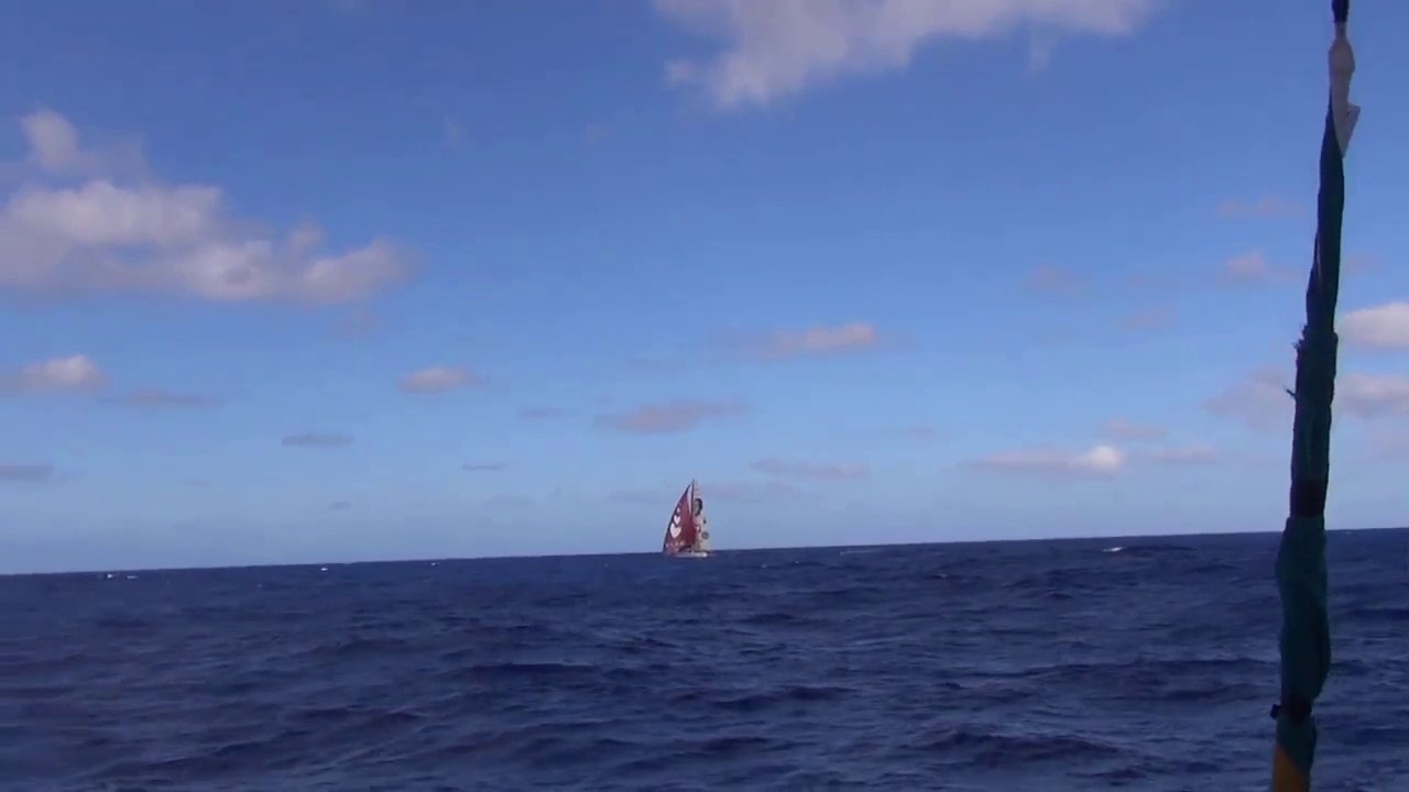 Kito, jamais seul en mer !