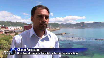 Une barrière high-tech contre les requins au Cap