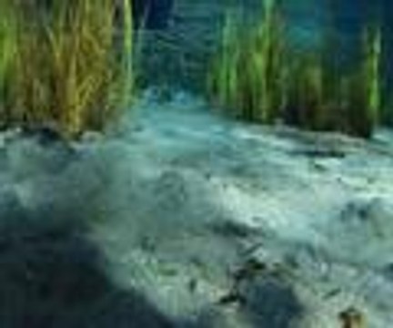 Dalgıçlar, Sakarya Nehri'nin kaynağını görüntüledi