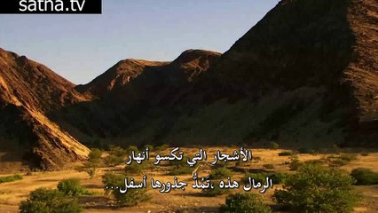منتديات أسود الفضائيات :" الهرم في مواجهة الفتي, من يفوز بالجميلة ؟ "