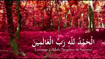 Kort waargebeurt verhaal || Islam