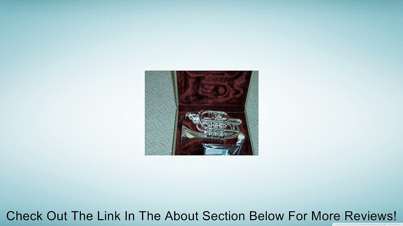 Phaeton Bb Pocket Trumpet Review