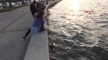 İzmir'de 2 Ölü Caretta Caretta Sahile Vurdu