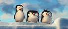 Penguins of Madagascar VIRAL VIDEO - Meet Skipper (2014) - Tom McGrath Movie HD