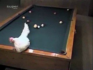 hahaha FuNnY MuSt WaTcH