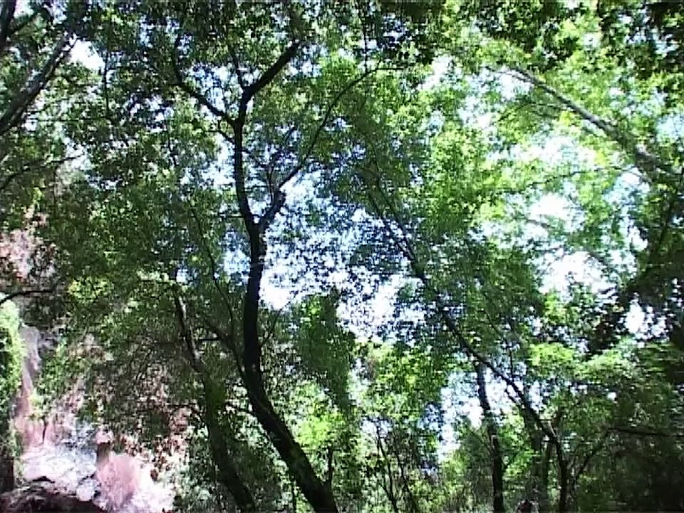 Израиль (север страны) Водопады, Голан 2009 год