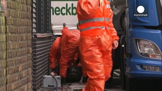 В Нидерландах уничтожены 150 тысяч кур из-за птичьего гриппа