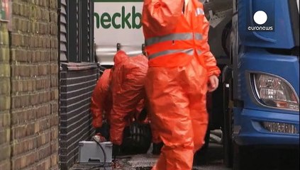 Influenza aviaria in un allevamento a sud di Amsterdam. Soppressione per 150mila polli