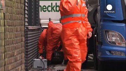 Gripe das aves na Holanda