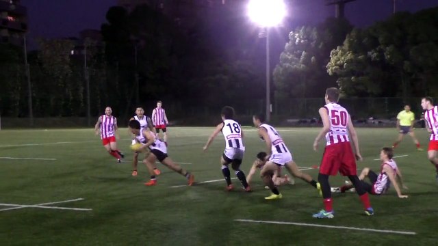 20141115 GOANNAS vs MAGPIES Q3 東京ゴアナーズ対駒澤マグパイズ - AFL Japan