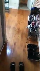 Dude thought he was home alone cleaning the house